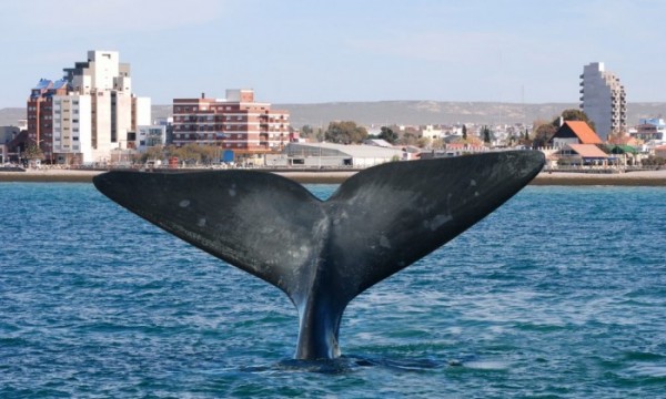 Puerto Madryn