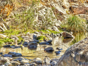 sendero-de-la-reserva-los-quebrachitos